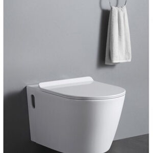 Premium Executive Conduit Toilet - Model BT365-TCT5