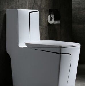 Black-Luxury-wc-1.jpg
