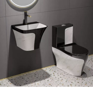 Black and White Luxury WC with Coordinated Wall-Hung Basin