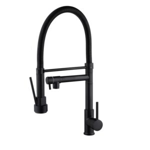 Matte Black 2-in-1 Full Chain Sink Mixer