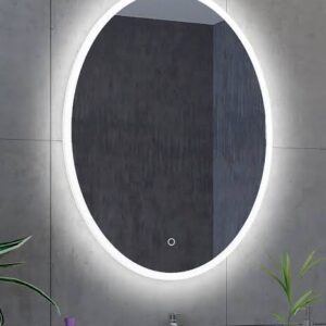Oval LED Mirror with Multi-Color Options