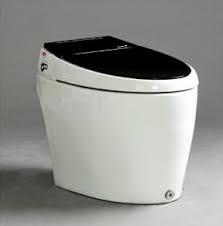 Smart Toilet WC - Model P05